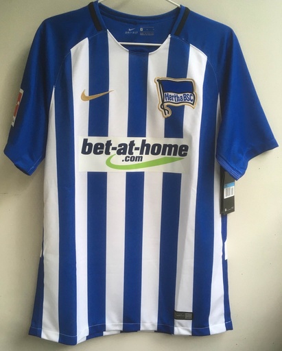 19 - Hertha Berliner SC - Ibisevic