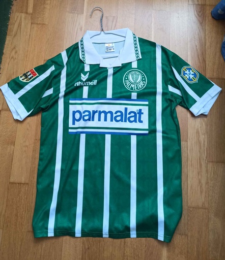 6 - Palmeiras