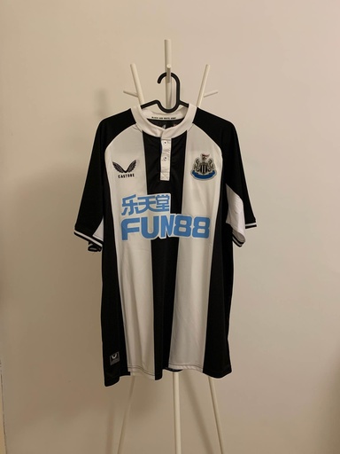 11 - Newcastle United - Ritchie