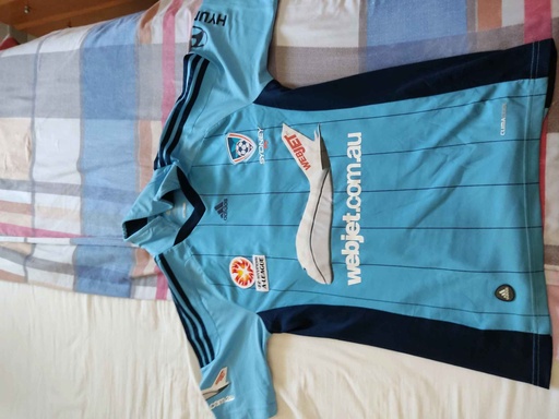 10 - Sidney FC - Del Piero