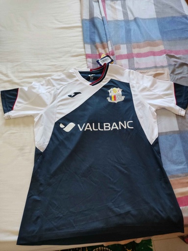 Futbol Club Santa Coloma