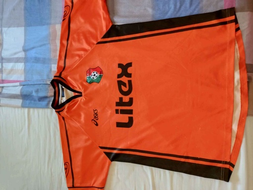 Profesionalen Futbolen Klub Litex Lovech (ПФК Литекс Ловеч)