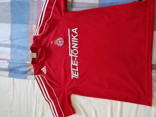 Towarzystwo Sportowe Wisła Kraków Spółka Akcyjna