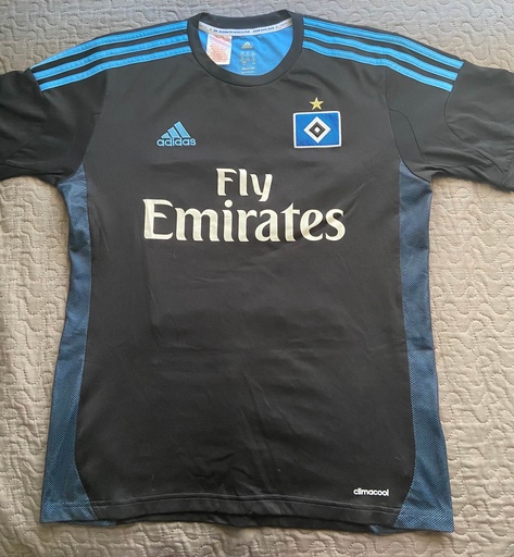 23 - Hamburgo - Van der Vaart