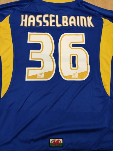 36 - Cardiff City - Hasselbaink