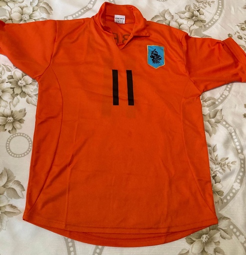 11 - Holanda - Robben