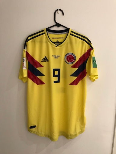 9 - Selección colombiana - Falcao