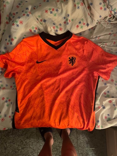 Selección Holandesa