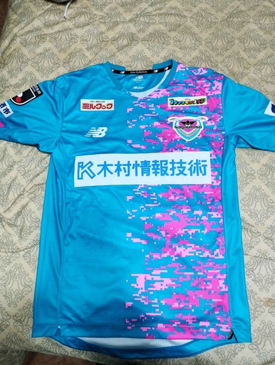 Sagan tosu