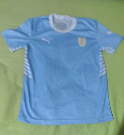 11 - Uruguay - D.Nuñez