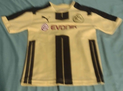 Borussia Dortmund