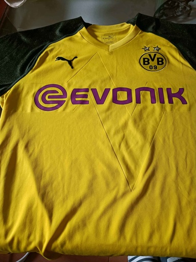 12 - Borussia Dortmund - Alex