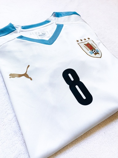 8 - Uruguay - N NANDEZ