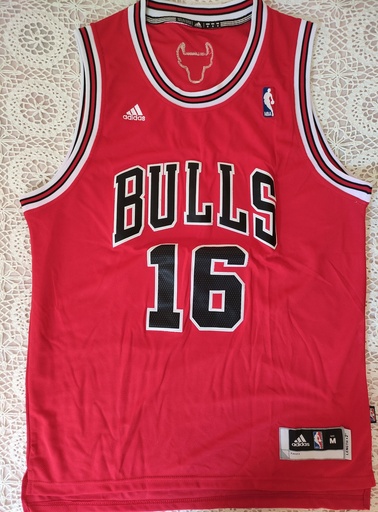 16 - Chicago Bulls - Gasol