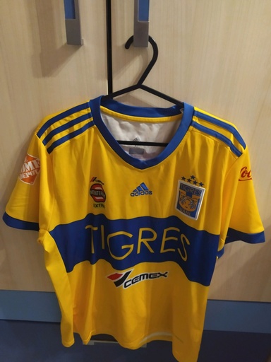 10 - Tigres - Gignac