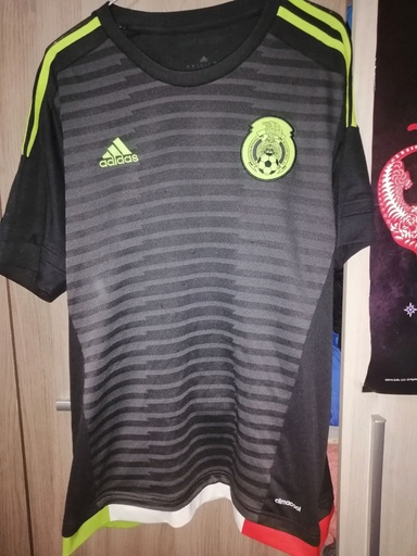 Seleccion de México