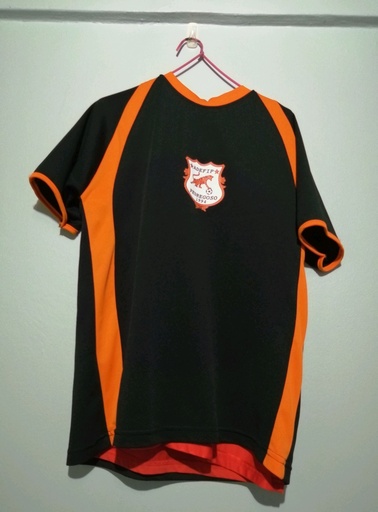 22 - Pedregoso - Fallas