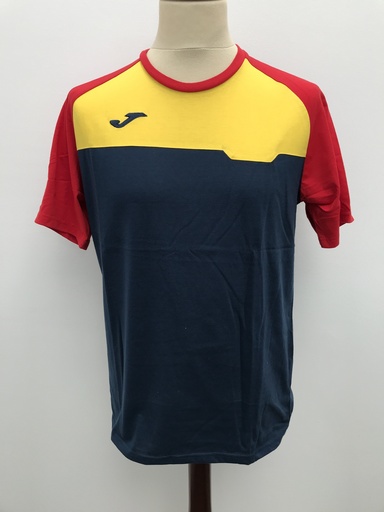 Selección andorrana
