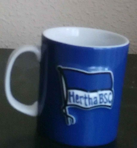 Hertha de Berlin Sport Club