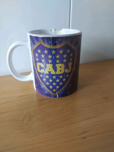 CA Boca Juniors