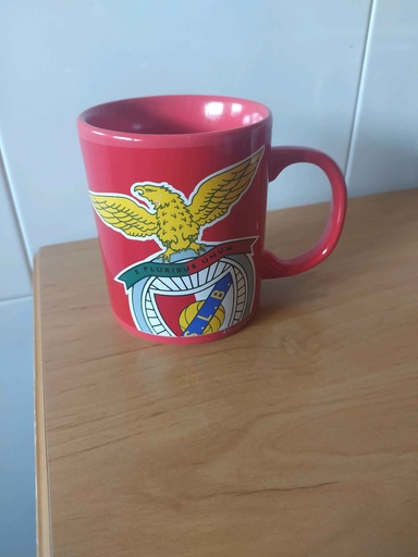 Sport Lisboa e Benfica