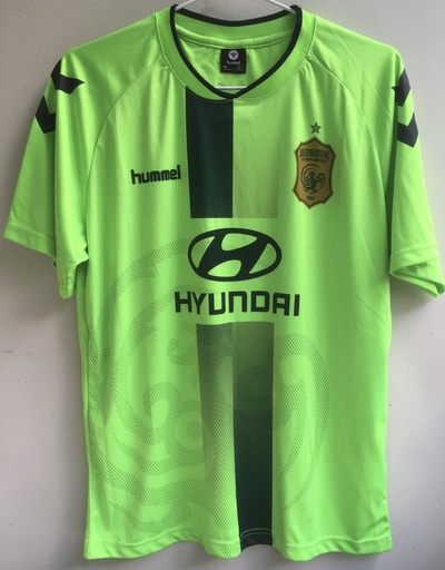 Jeonbuk Hyundai Motors F.C.