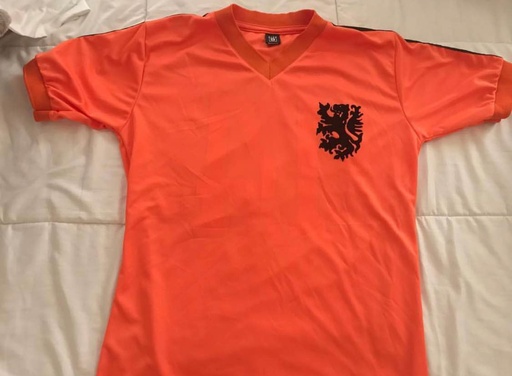 14 - Seleccion Holanda