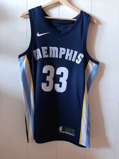 Memphis grizzlies