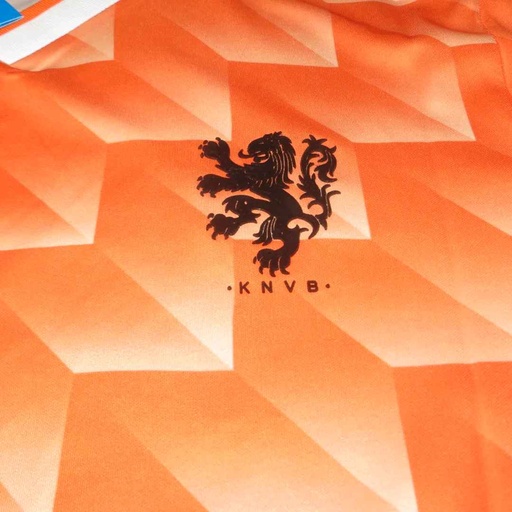 10 - Selección holandesa