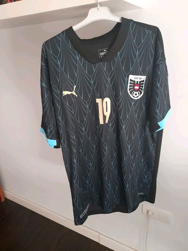 19 - Austria - Baumgartner