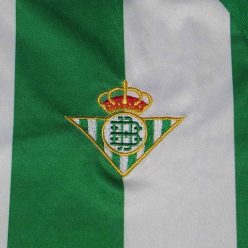 24 - Real Betis Balompié - Rubén castro