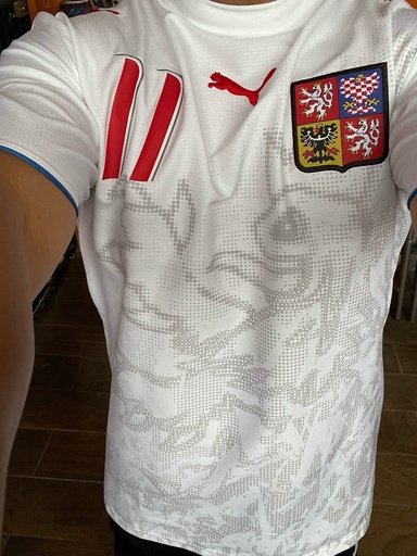 11 - Rep checa - Nedved