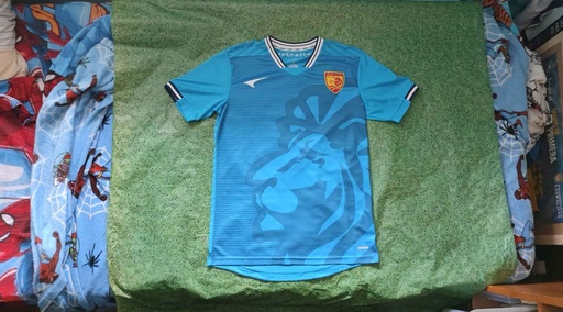 Qingdao Red Lions