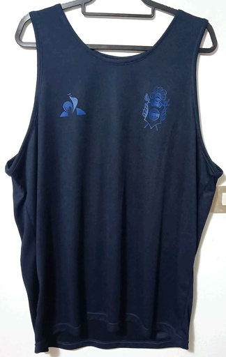 Gimnasia y esgrima La Plata