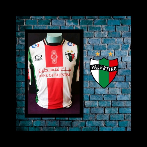 Club Deportivo Palestino